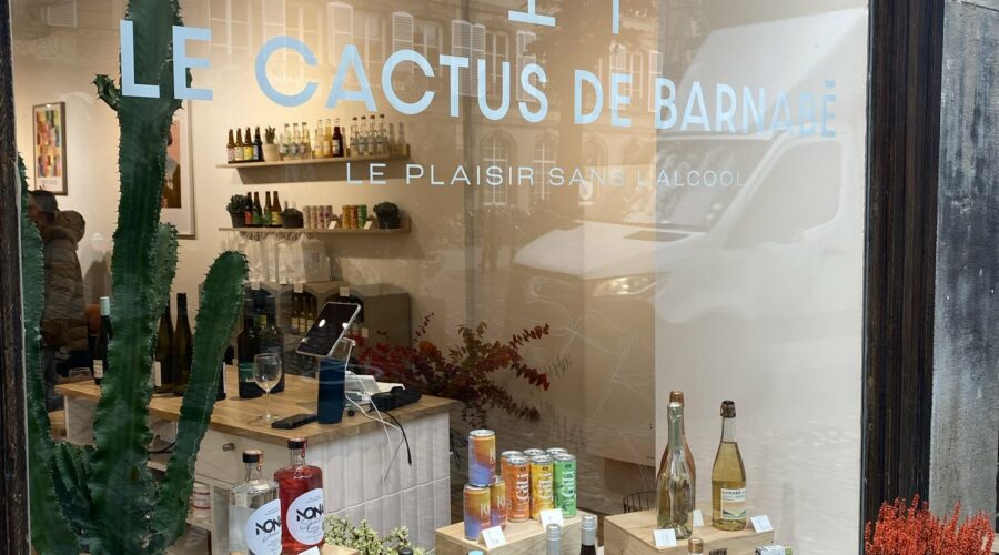 Le cactus de barnabé